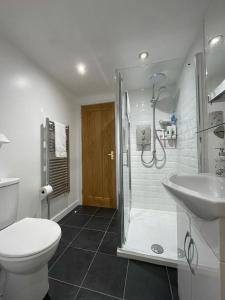 a bathroom with a shower and a toilet and a sink at Lovely ground floor apartment in quiet village in Exeter