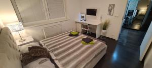 TV a/nebo společenská místnost v ubytování Apartman Klaudius