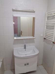 W białej łazience znajduje się umywalka i lustro. w obiekcie résidence les jardins w mieście El Aouina
