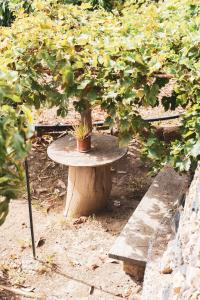 A garden outside Casa rural Los Madroños