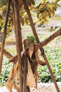 A garden outside Casa rural Los Madroños
