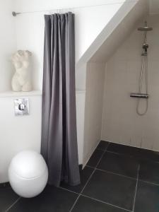 a bathroom with a shower curtain and a toilet at Ezzo guest house in Nakskov