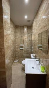 マラガにあるApartamento Historico Alameda de Colonのバスルーム(洗面台、トイレ、鏡付)