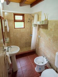ein Bad mit einem Waschbecken und einem WC in der Unterkunft Las del Tatu in El Bolsón