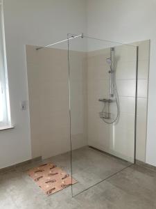 a shower with a glass door in a bathroom at Ferienwohnung am Froser See in Frose