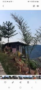 Φυσικό τοπίο κοντά σε αυτό το σαλέ