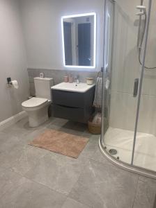 a bathroom with a toilet and a sink and a shower at Modern 3-Bed Apartment in Magherafelt Sleeps 8 in Magherafelt