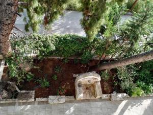 A garden outside Vacations in Patra Studios