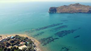 Gallery image of Chrispy Beach Resort, Agia Marina in Agia Marina Nea Kydonias