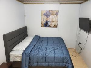 a bedroom with a bed and a painting on the wall at Preferred Place in Trincity 