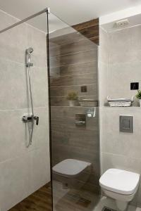 a bathroom with a toilet and a glass shower at Apartman M&S - Zoned 2 in Kopaonik
