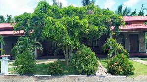 Vườn quanh Hotel Tree Garden Wilpaththu Nochchiyagma Anuradhapura