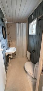 małą łazienkę z toaletą i umywalką w obiekcie Fjällstuga 5B i Foskros m kamin w mieście Idre