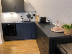 Kuchyň nebo kuchyňský kout v ubytování Ferienwohnung in Bad Bramstedt