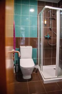 a bathroom with a toilet and a shower at Casa da Fonte Gerês in Campo do Gerês