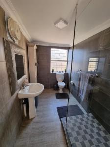uma casa de banho com um lavatório, um WC e um chuveiro em THE SPARE BEDROOM Unit 2 em Harrismith