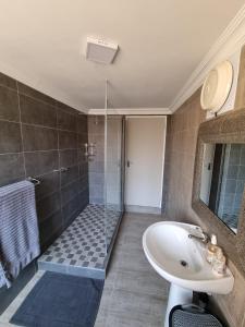 uma casa de banho com um chuveiro, um lavatório e um espelho. em THE SPARE BEDROOM Unit 2 em Harrismith