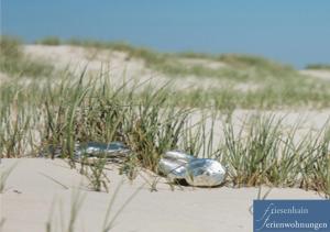 a glass bottle laying in the sand in the beach at Friesenhain Ferienwohnungen in Sankt Peter-Ording