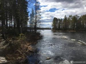 a river with trees on the side of it at NORDIC LAKES OY/AB in Taivalkoski
