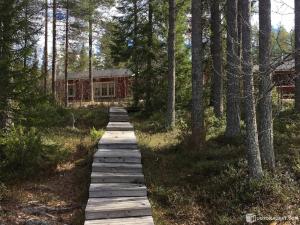 a boardwalk leading to a house in the woods at NORDIC LAKES OY/AB in Taivalkoski