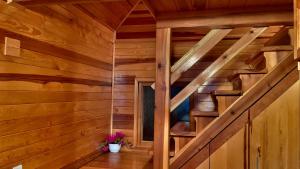 Ảnh trong thư viện ảnh của Apartmani d&s ở Mokra Gora