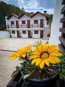un ramo de flores amarillas frente a un edificio en Recanto Bella Fonte, en Monte Verde