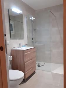 uma casa de banho com um chuveiro, um WC e um lavatório. em la pedrera em Espolla