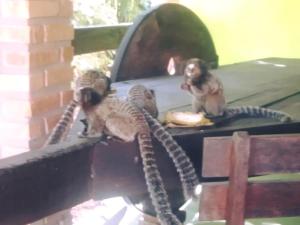 Hóspedes ficando em Pousada do Sossego