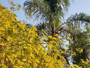 Um jardim em Pousada do Sossego