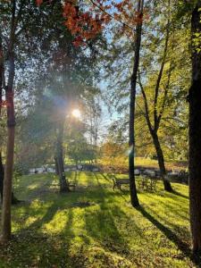 Táj az apartman közelében