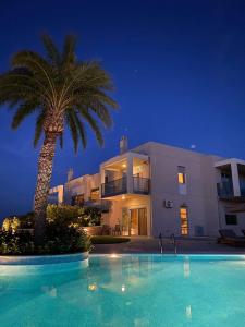 a large swimming pool in front of a house with a palm tree at Breathtaking view guesthouse in Psalidi