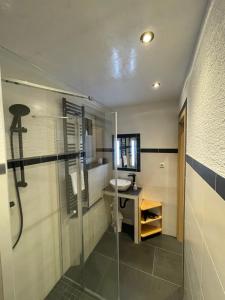 a bathroom with a shower and a toilet and a sink at Ferienhaus Freitag in Kurort Oberwiesenthal +51 photos