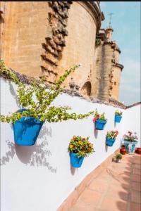 a row of potted plants on a wall in front of a building at La Colegiata De Ronda in Ronda