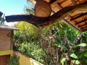 Um jardim em Pousada do Sossego