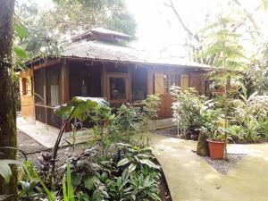 una casa de madera con muchas plantas delante de ella en Las Brisas del Sur, en Ojochal