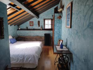 1 dormitorio con 1 cama en una habitación con paredes azules en Casa La Fonte, en Barcia