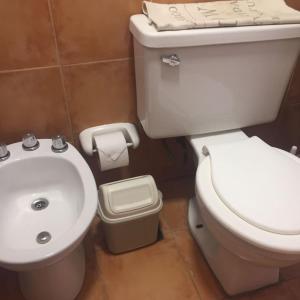 y baño con aseo blanco y lavamanos. en Aunaisin-Paz Centro-Vintage en Ushuaia