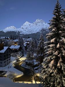 een met sneeuw bedekte dennenboom met bergen op de achtergrond bij Studio Arosa von Swisspartments in Arosa