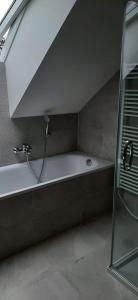 y baño con ducha y bañera. en Chata Lipno U Hajenky en Lipno nad Vltavou