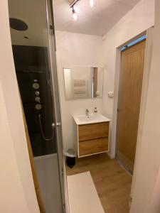 uma casa de banho com um lavatório e um espelho em Vesoul appartement atypique centre ville. em Vesoul
