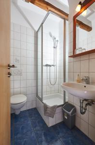 a bathroom with a shower and a sink and a toilet at Fischerhof in Crimmitschau