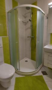 y baño con ducha, aseo y lavamanos. en Apartma Krvavec, en Cerklje na Gorenjskem