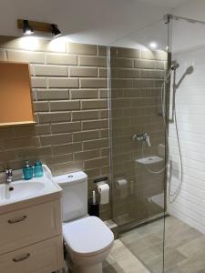 蒂米什瓦拉的住宿－Maremi，带淋浴、卫生间和盥洗盆的浴室