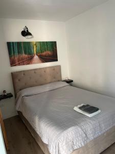 a bed in a bedroom with a picture on the wall at Maremi in Timişoara