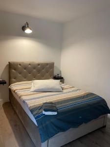 1 dormitorio con 1 cama grande y cabecero en Maremi, en Timisoara
