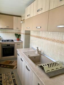 eine Küche mit einer Spüle und einer Arbeitsplatte in der Unterkunft Serene Apartment Navodari in Năvodari