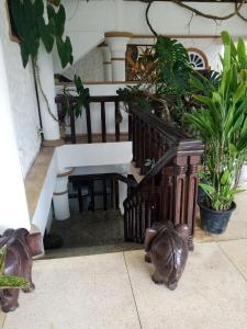 Fotografie z fotogalerie ubytování Manidi Villa v destinaci Unawatuna