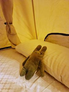 un animal de peluche yace en una cama en Dulan Groundnut Backpacker Hostel en Donghe