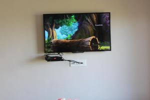 TV a/nebo společenská místnost v ubytování Entire 2 BHK Nanda Devi Himalayan Homestay