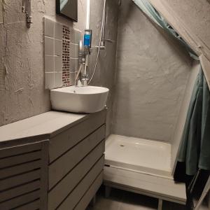 a small bathroom with a sink and a shower at The Garden Hill Hotel in Vallåkra